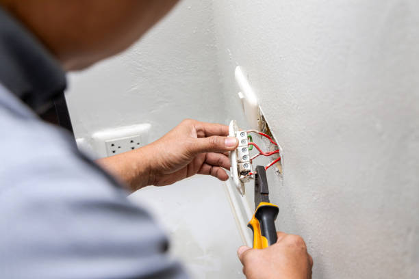 Best Electrical Wiring Services  in Woodsi East, DE