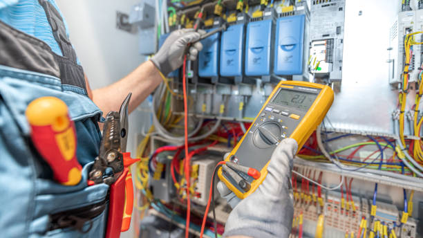 Best Electric Panel Repair  in Woodsi East, DE